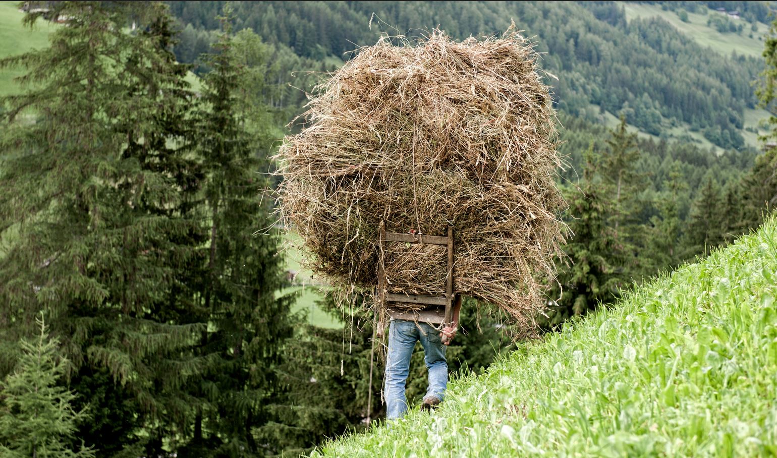 Heumaht Muehlwald Ahrntal - Kraxntroga