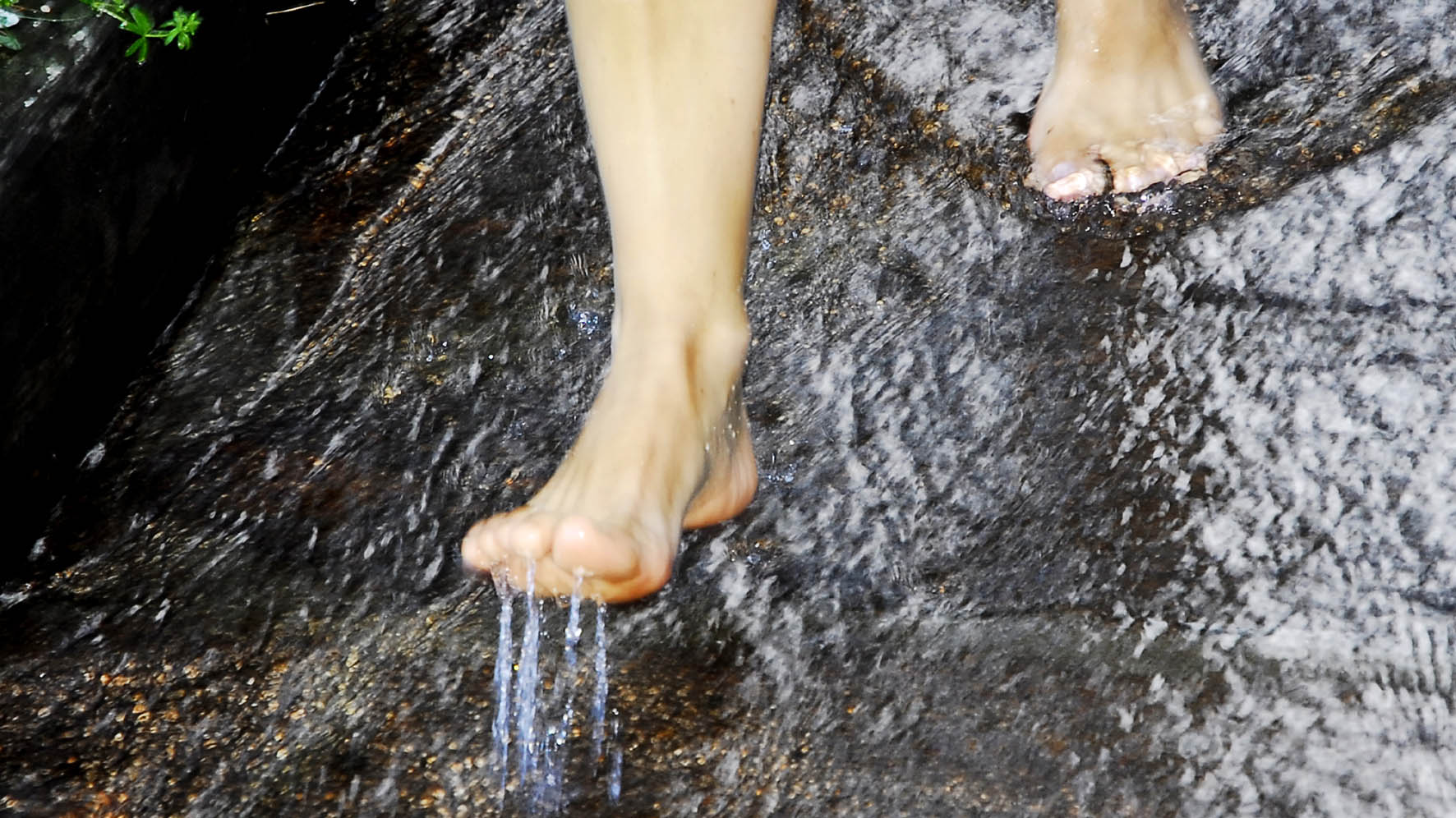 Grounding - Waldbaden - Alpine Longevity